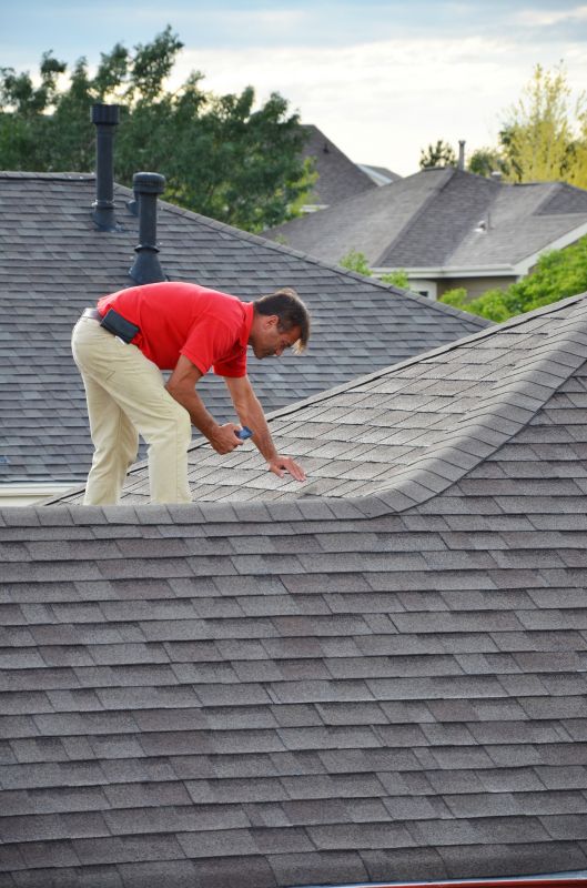 Professional Roofing Inspection